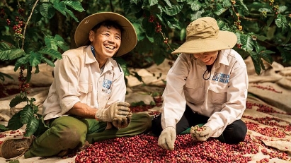Coffee export earns $2.28 bln  this year, as of March 15