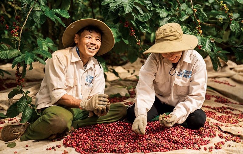 Coffee export earns $2.28 bln  this year, as of March 15