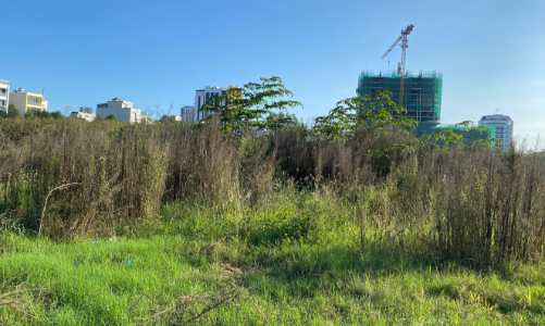 Xác định giá cho 1,1 ha 