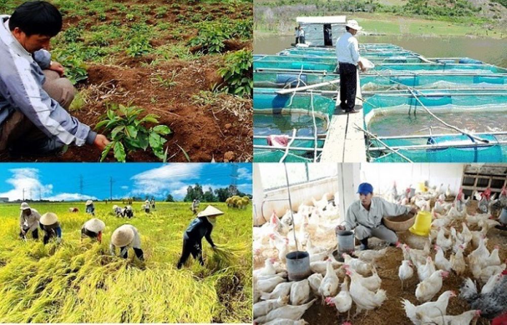 Mục tiêu tăng trưởng của toàn ngành nông lâm ngư nghiệp năm 2025 là 3,85%.