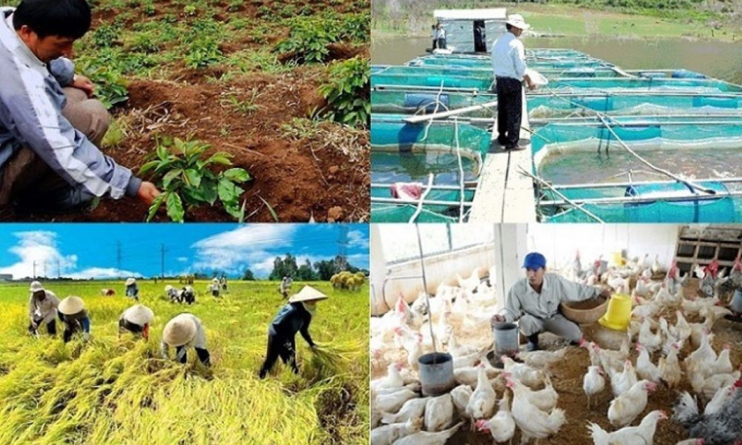 Mục tiêu tăng trưởng của toàn ngành nông lâm ngư nghiệp năm 2025 là 3,85%.