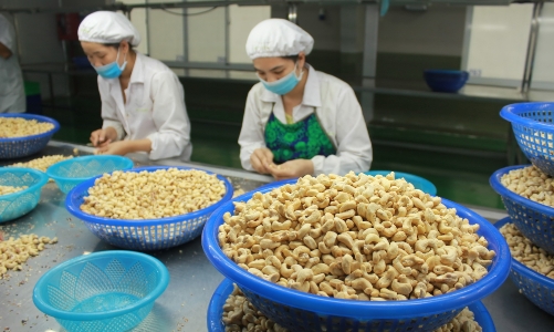 Doanh nghiệp phấp phỏng trước quyết định thuế đối ứng của Mỹ