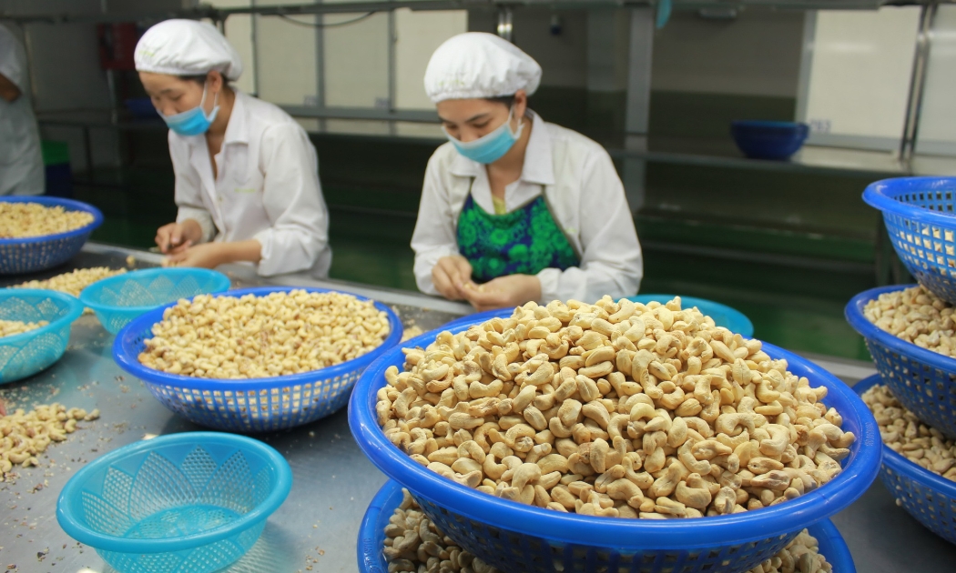 Ngành điều phấp phỏng trước mức thuế đối ứng cuối cùng của Mỹ