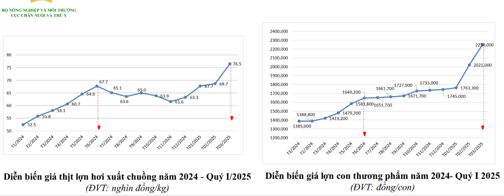 Diễn biến gi&aacute; lợn hơi xuất chuồng v&agrave; gi&aacute; lợn con. Nguồn Cục Chăn nu&ocirc;i v&agrave; th&uacute; y.