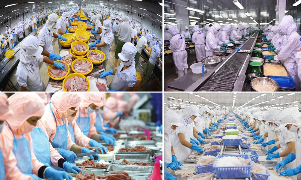 Trong quý 1/2025, xuất khẩu thủy sản của Việt Nam tăng 26% so với cùng kỳ năm 2024.