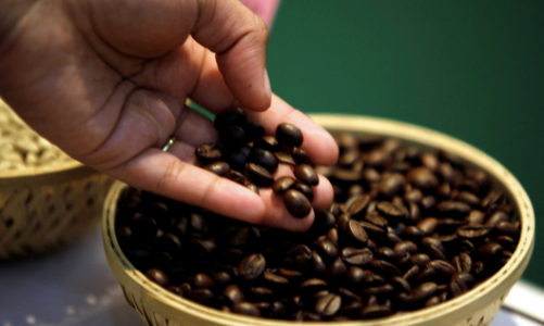 Giá cà phê ở Mỹ được dự báo tăng dữ dội vì thuế đối ứng