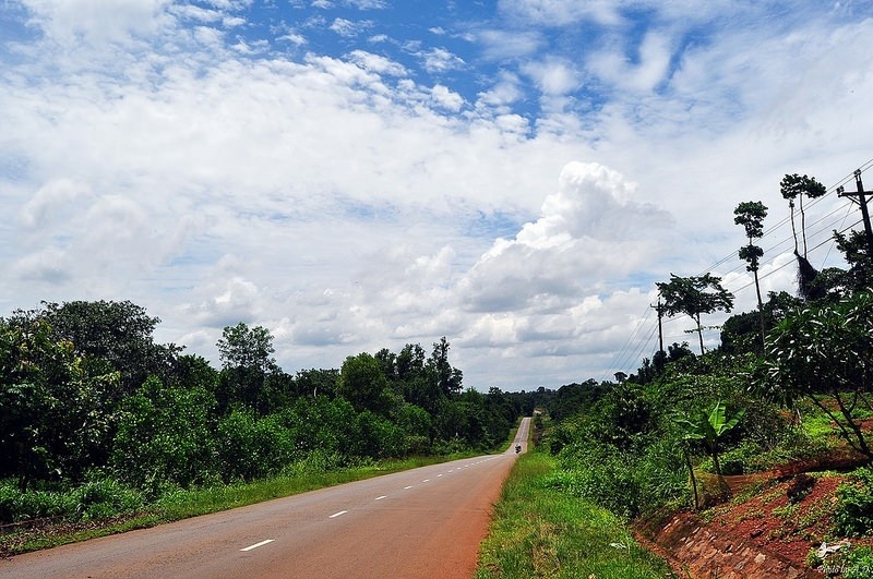 Đường đi vào rừng Mã Đà - Ảnh minh họa (Nguồn: ADG).