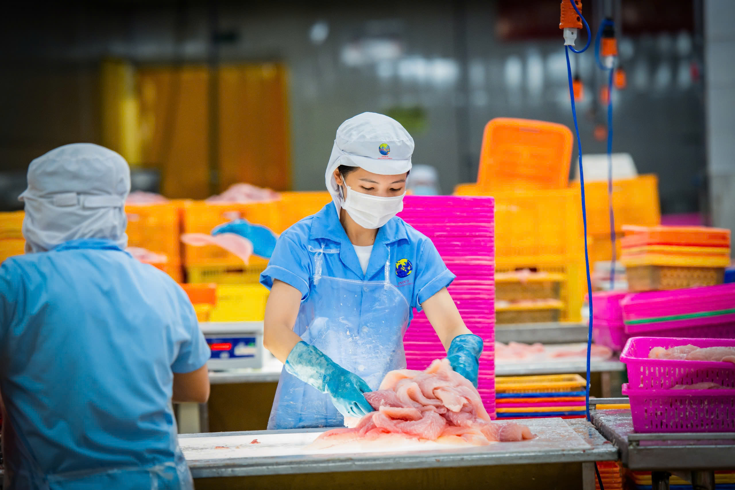 Hoạt động chế biến thủy sản của NAVICO.