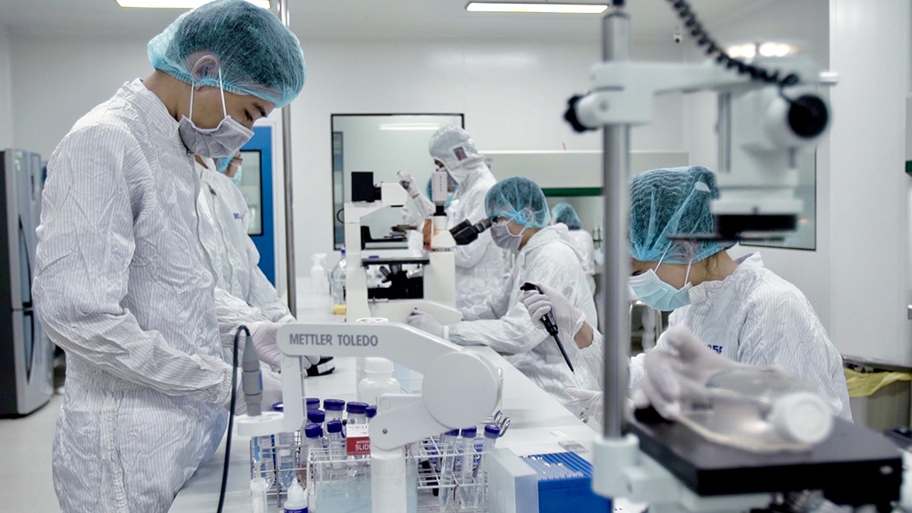 Ngành dược Việt Nam đang tăng tốc chuyển mình trong sản xuất và thu hút đầu tư - Hình minh họa.