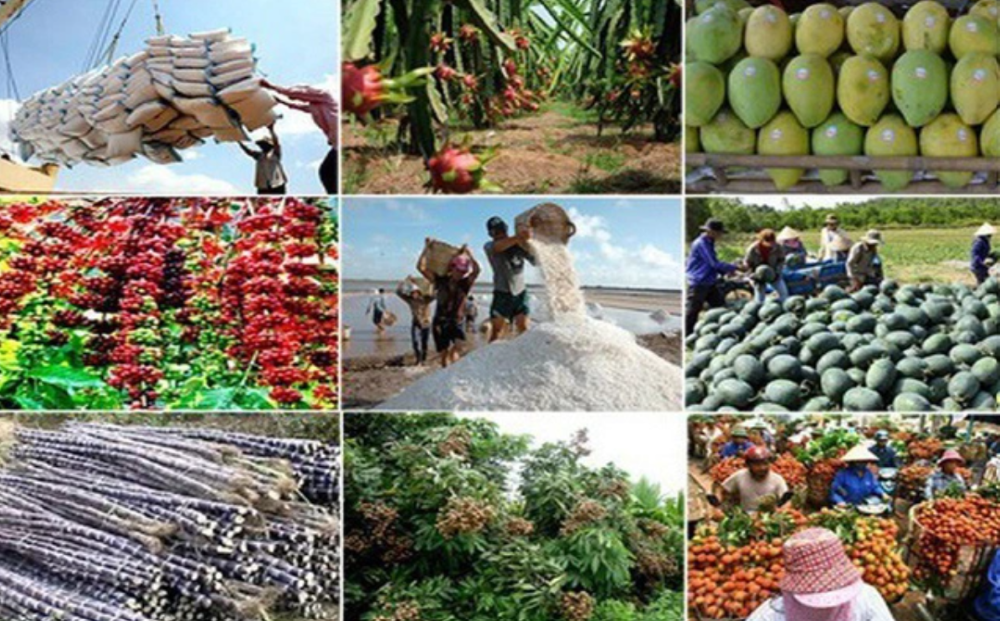 Xuất khẩu nông lâm thuỷ sản quý 1/2025 tăng trưởng 13,1%
