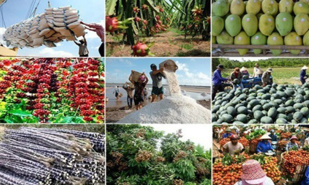 Xuất khẩu nông lâm thuỷ sản quý 1/2025 tăng trưởng 13,1%
