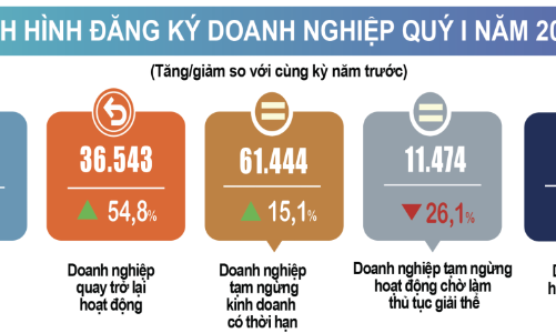 Quý 1/2025: Số doanh nghiệp thành lập mới giảm nhẹ, số doanh nghiệp tái gia nhập thị trường tăng mạnh