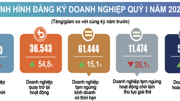 Quý 1/2025: Số doanh nghiệp thành lập mới giảm nhẹ, số doanh nghiệp tái gia nhập thị trường tăng mạnh