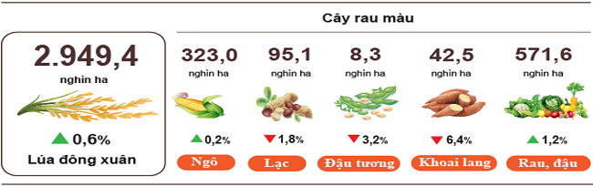 Diện tích gieo trồng một số cây hằng năm (tính đến 20/3/2025). Nguồn: Cục Thống kê.