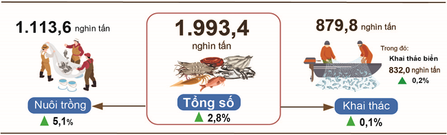 Sản lượng thủy sản quý 1 năm 2025 so với cùng kỳ năm 2024. Nguồn: Cục Thống kê.