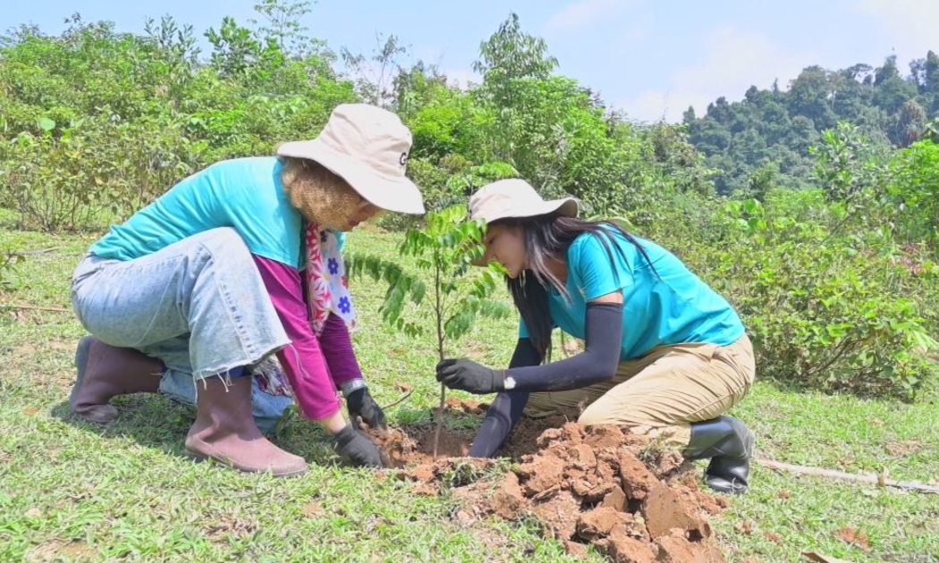 Sản xuất lâm nghiệp đẩy mạnh công tác trồng rừng mới.