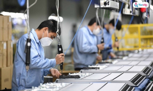 Nghệ An giải quyết việc làm cho 12.300 người