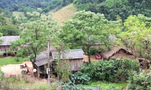 Quyết tâm đến 31/10/2025 cơ bản xóa nhà tạm, nhà dột nát trên cả nước