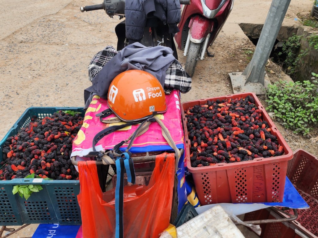 VnEconomy