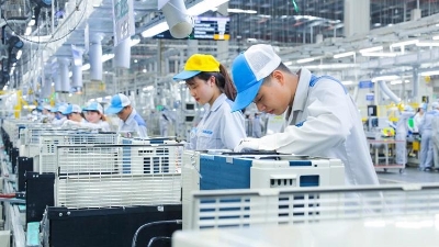 36,400 new enterprises established in Q1