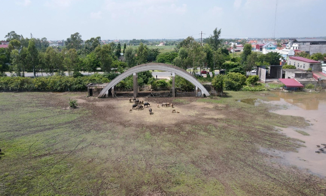 Khu đất 40ha tại phường Tân Thành (quận Dương Kinh) bỏ hoang nhiều năm đã bị UBND TP. Hải Phòng ra quyết định thu hồi. 