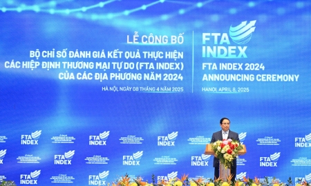 Công bố Bộ chỉ số đánh giá kết quả thực hiện FTA Index năm 2024