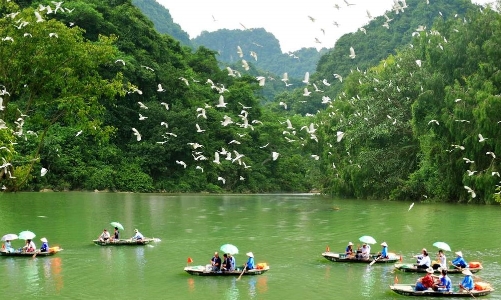 Hơn 4,4 triệu lượt khách tới Ninh Bình 