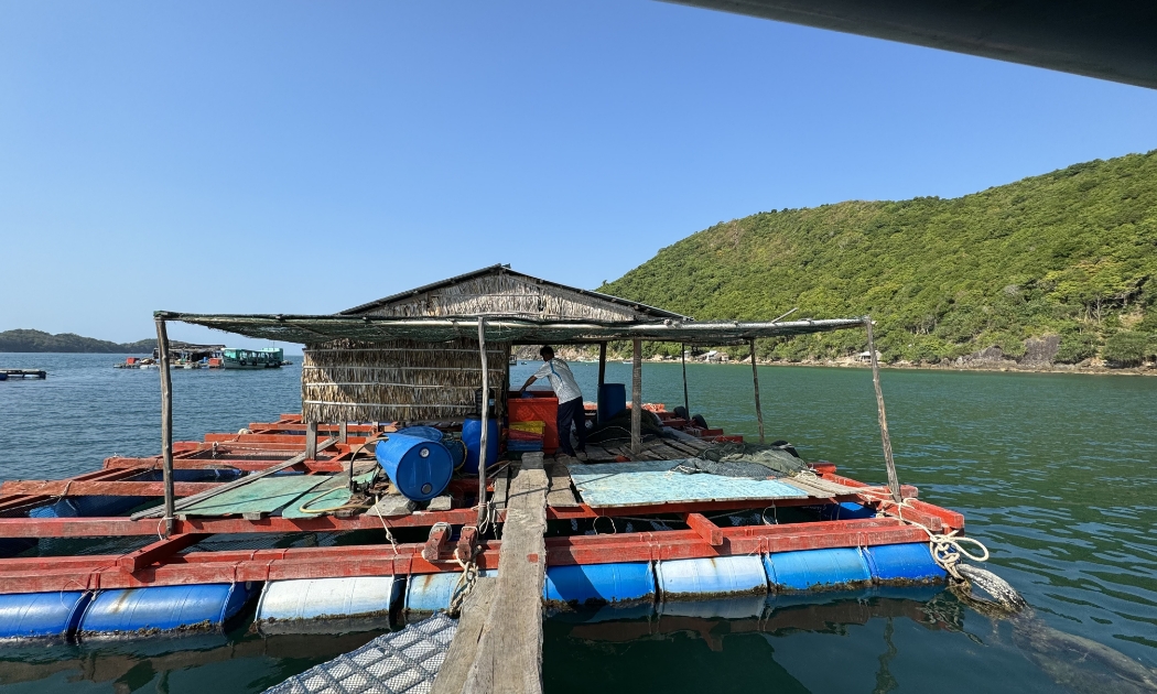 Một dự án cá lồng bè tại đảo Nam Du (Kiên Giang) vay vốn Agribank