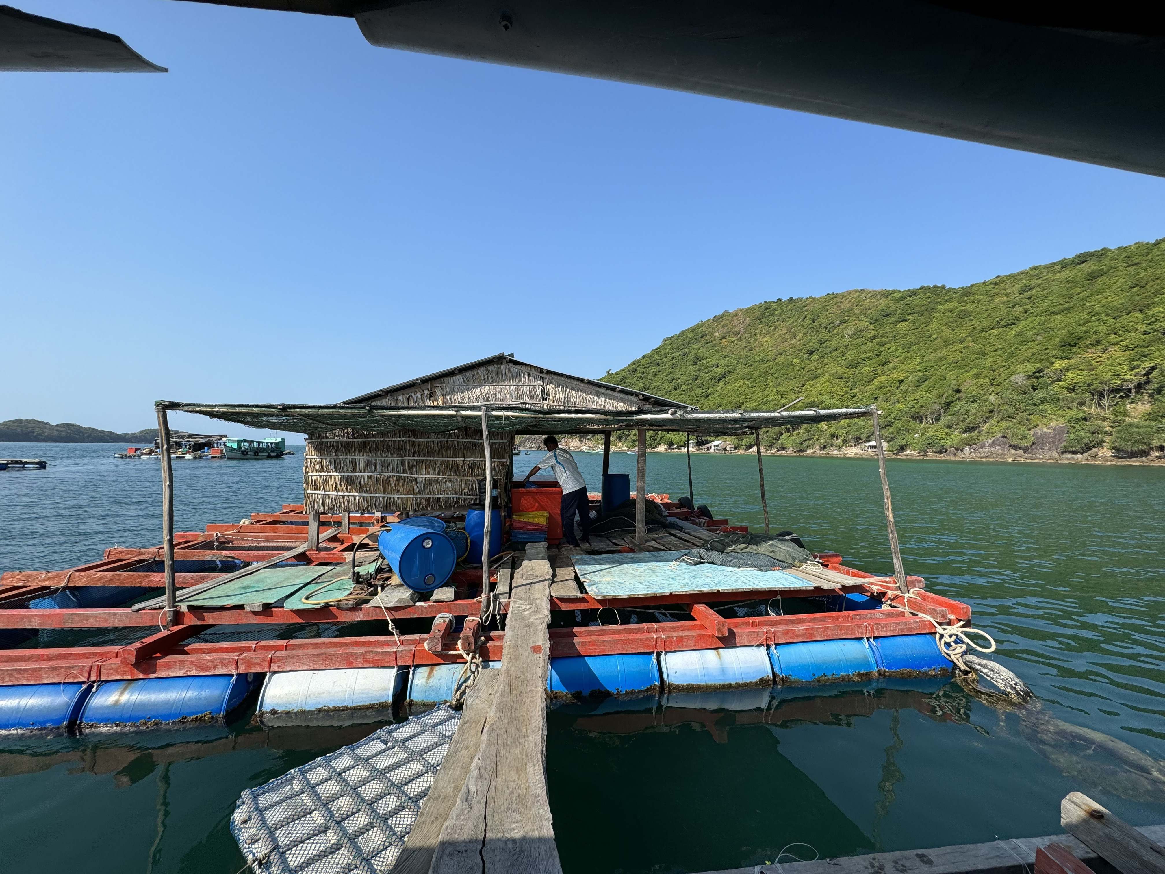 Một dự án cá lồng bè tại đảo Nam Du (Kiên Giang) vay vốn Agribank