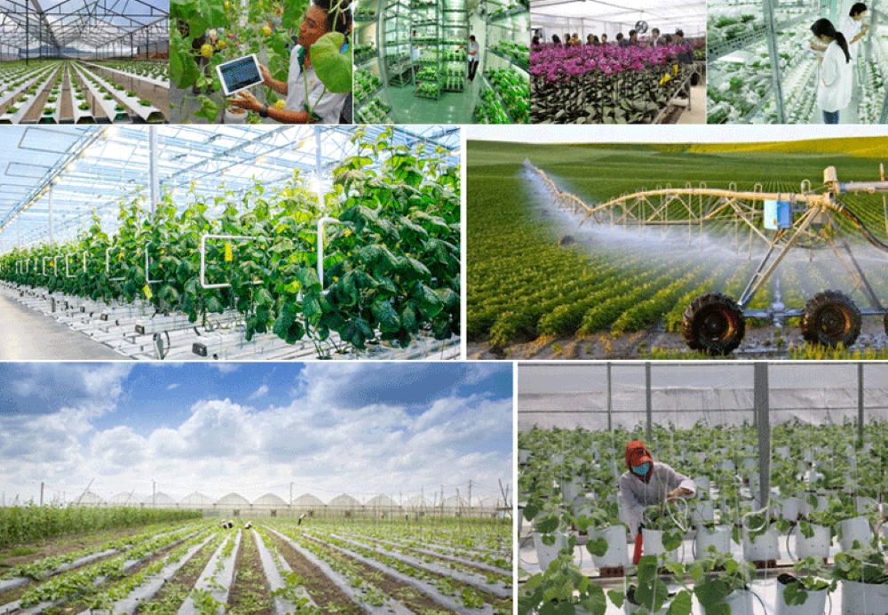 Thực hiện đột phá trong ứng dụng, chuyển giao khoa học, công nghệ, đổi mới sáng tạo trong nông nghiệp.