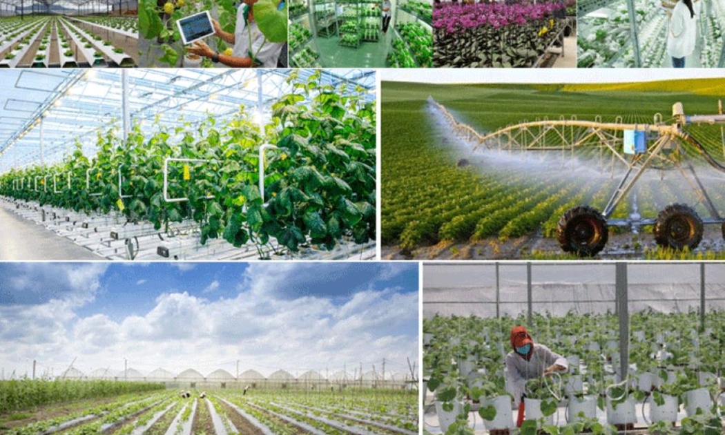 Thực hiện đột phá trong ứng dụng, chuyển giao khoa học, công nghệ, đổi mới sáng tạo trong nông nghiệp.