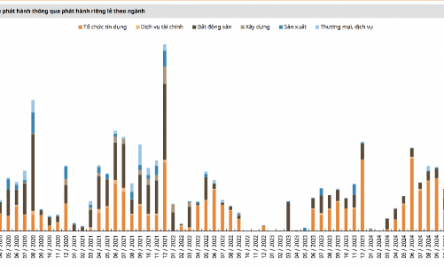 Chỉ có 3 đợt phát hành trái phiếu doanh nghiệp trong tháng 3