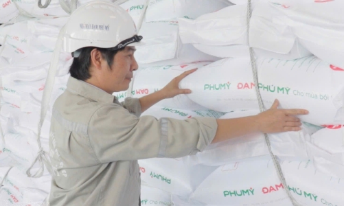 Đạm Phú Mỹ dự kiến tăng vốn điều lệ và chia cổ tức tiền mặt 15%