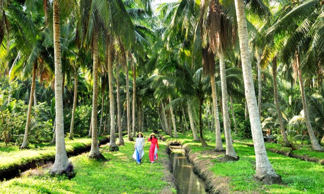 Việc phát triển du lịch sinh thái gắn liền với hình ảnh cây dừa nhằm xây dựng hình ảnh, nét riêng của du lịch Bến Tre.