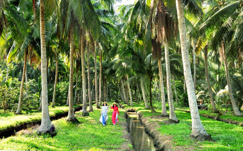 Việc phát triển du lịch sinh thái gắn liền với hình ảnh cây dừa nhằm xây dựng hình ảnh, nét riêng của du lịch Bến Tre.