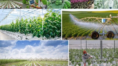 A 4% value-added growth goal  set for agriculture sector in 2025