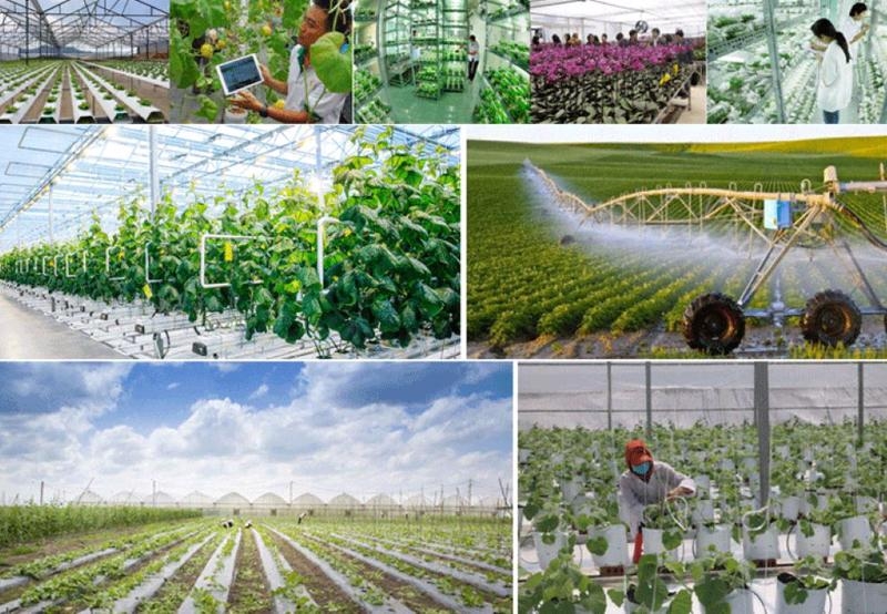 A 4% value-added growth goal  set for agriculture sector in 2025