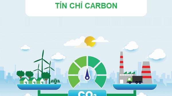 Sẽ có sổ tay hướng dẫn doanh nghiệp Việt Nam tham gia thị trường carbon