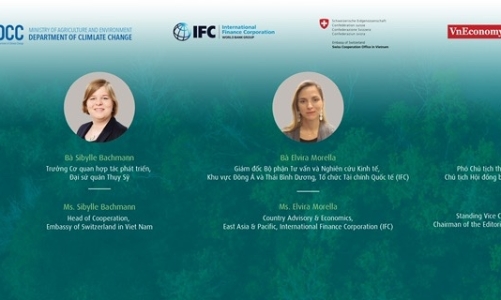 Phát triển thị trường carbon ở Việt Nam