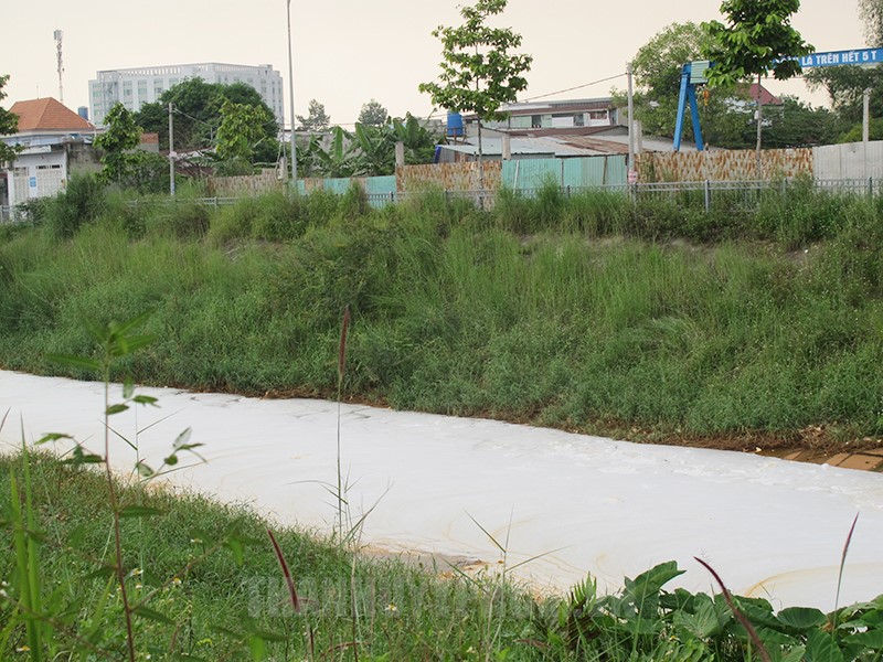 Kênh Ba Bò giáp ranh giữa TP.HCM và tỉnh Bình Dương thường xuyên xuất hiện mùi hôi và có bọt trắng xóa. Ảnh: HCMCPV