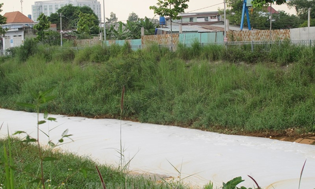 Kênh Ba Bò giáp ranh giữa TP.HCM và tỉnh Bình Dương thường xuyên xuất hiện mùi hôi và có bọt trắng xóa. Ảnh: HCMCPV