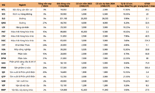 Điểm danh hàng loạt cổ phiếu phòng thủ cổ tức cao, có mã gấp 4 lần lãi suất ngân hàng 