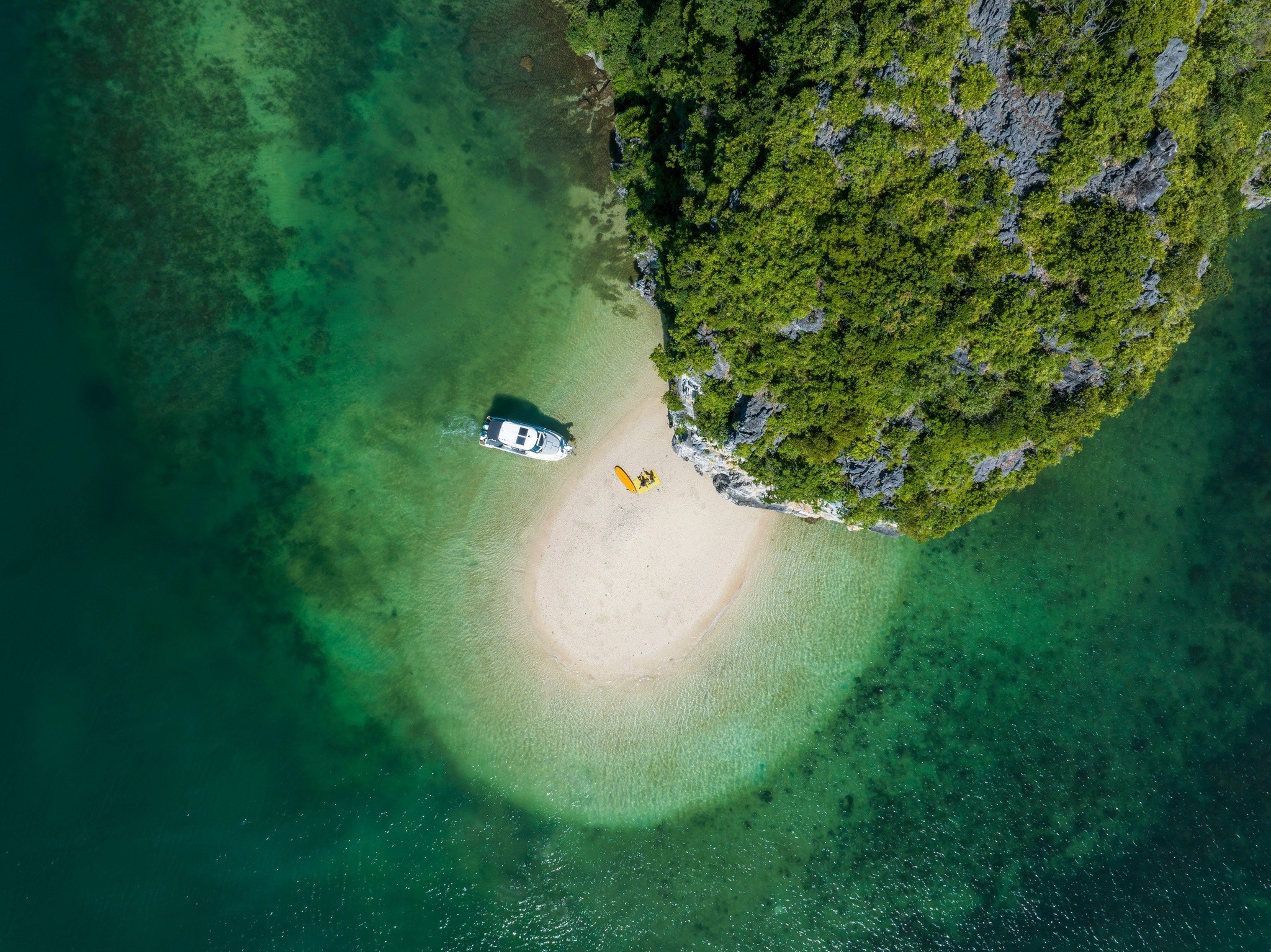 Sự kiện quốc tế Nghệ thuật v&igrave; kh&iacute; hậu - Hạ Long 2025 sắp đ&oacute;n khoảng 200 tỷ ph&uacute; thế giới đến Hạ Long bằng si&ecirc;u du thuyền. Ảnh:&nbsp;AAV