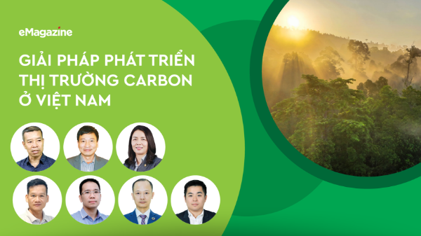 Giải pháp phát triển thị trường carbon ở Việt Nam