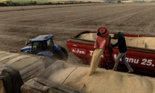 Thuế quan Mỹ, vận may của nông dân Brazil