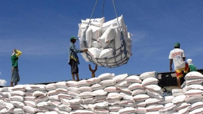 Vietnam’s rice to remain Philippines' main import source