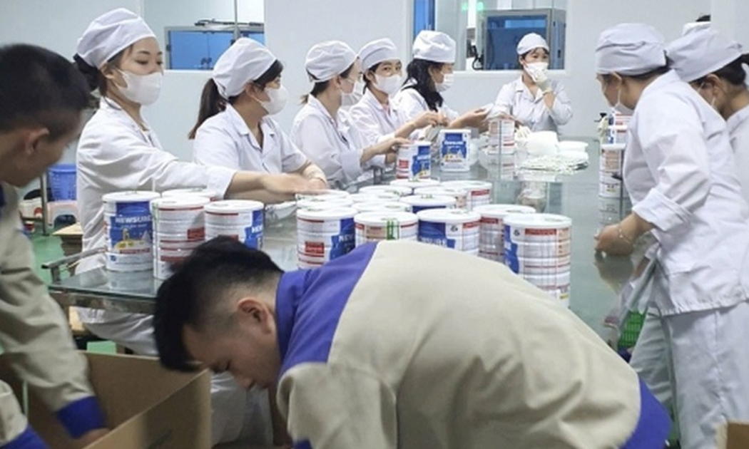 Hệ sinh thái của đường dây sản xuất sữa giả có tới 9 công ty, sản phẩm phủ toàn quốc.
