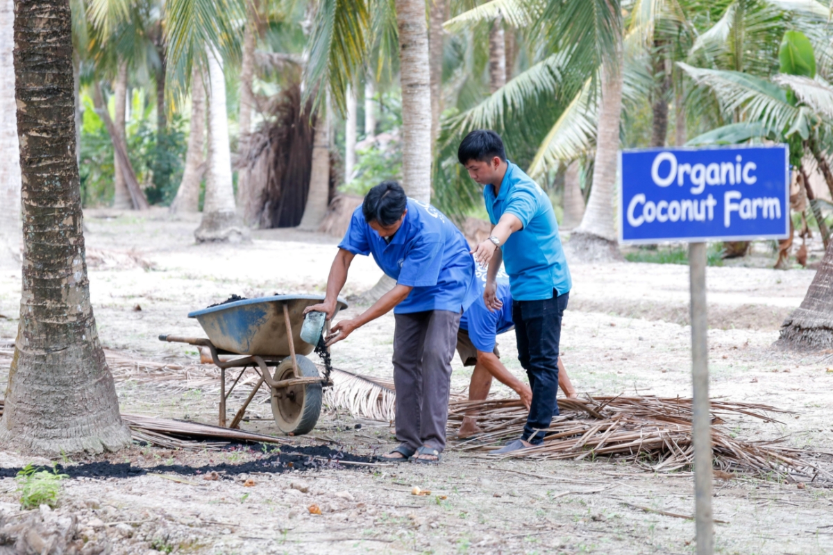 Vietcoco phối hợp c&ugrave;ng n&ocirc;ng d&acirc;n địa phương ph&aacute;t triển kỹ thuật trồng trọt v&agrave; x&acirc;y dựng v&ugrave;ng nguy&ecirc;n liệu hữu cơ tại Bến Tre.
