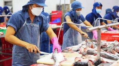 Opportunity for seafood exporters to restructure markets