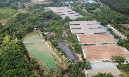 Đồng Nai phạt nghiêm doanh nghiệp vi phạm về bảo vệ môi trường